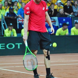 Davis Cup 2017 in Brussel - afbeelding