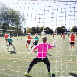 Netten en ballenvangers op maat gemaakt - afbeelding