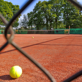 Renovatie bestaande gravelcourts bij TC Basveld - afbeelding